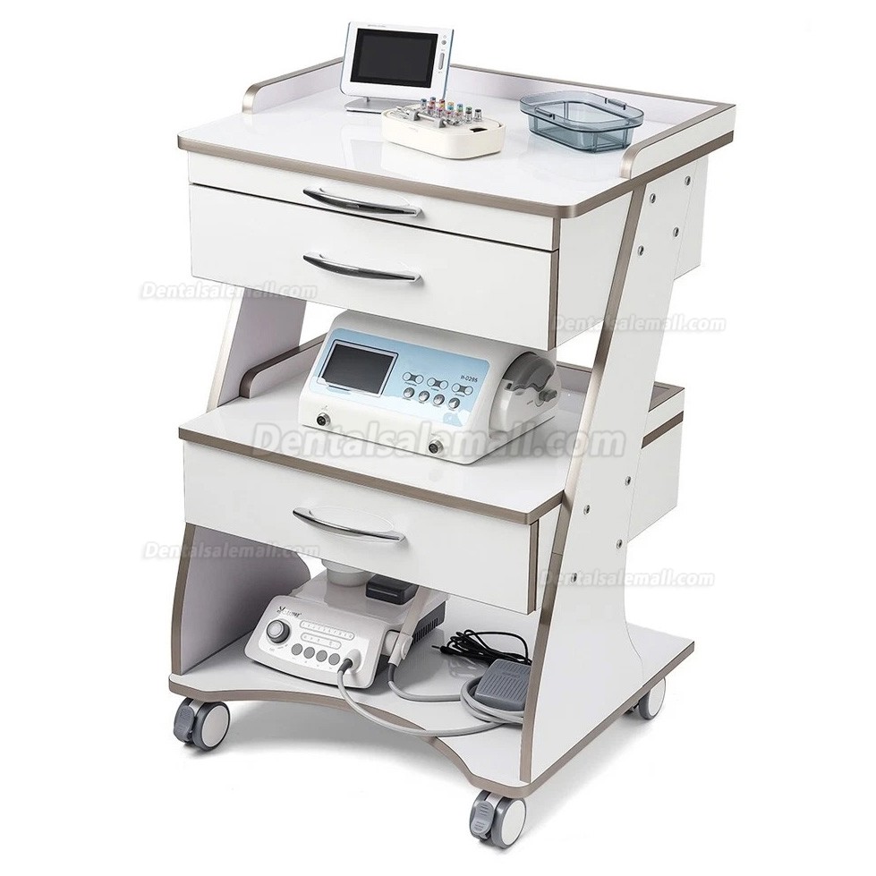 Dentech G06 Mobile Dental Storage Cabinet Dental Cart with Instrument Tray Double-Drawer